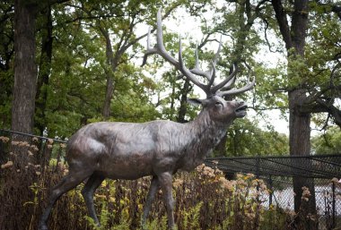 Büyük bronz geyik heykeli bir Hayvanat Bahçesi