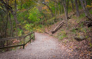 Illinois kırlarda sonbaharın güzel renkli parklarda