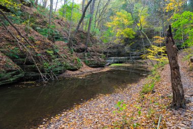 Illinois kırlarda sonbaharın güzel renkli parklarda