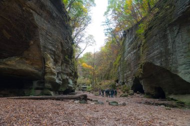 Illinois kırlarda sonbaharın güzel renkli parklarda
