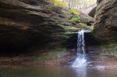 Şelale bir sonbahar Park Illinois