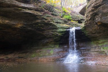 Şelale bir sonbahar Park Illinois