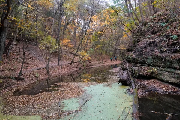 Illinois kırlarda sonbaharın güzel renkli parklarda — Stok fotoğraf