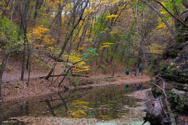 Mooie kleurrijke parken in Illinois platteland in de herfst — Stockfoto