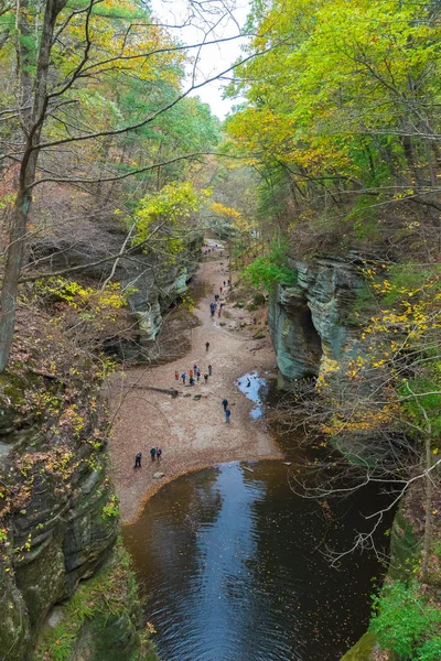 Illinois kırlarda sonbaharın güzel renkli parklarda — Stok fotoğraf