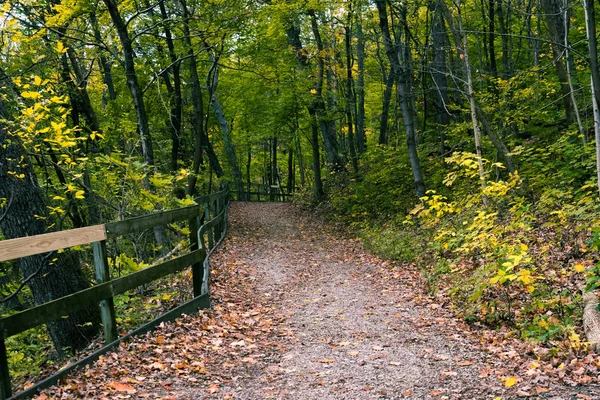 Mooie kleurrijke parken in Illinois platteland in de herfst — Stockfoto