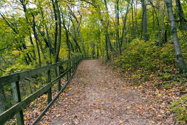 Piękne kolorowe parki w Illinois wioseczka w jesieni — Zdjęcie stockowe