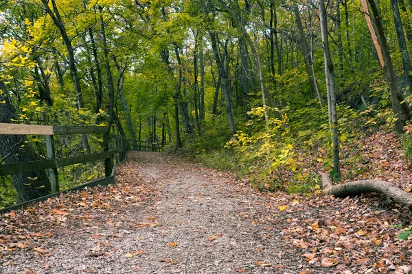 Mooie kleurrijke parken in Illinois platteland in de herfst — Stockfoto