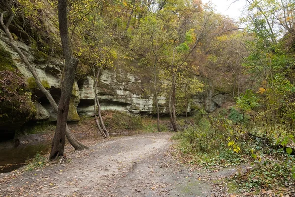 Illinois kırlarda sonbaharın güzel renkli parklarda — Stok fotoğraf