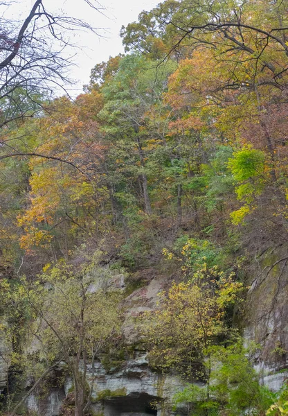 Vackra färgglada parker i Illinois land side i höst — Stockfoto