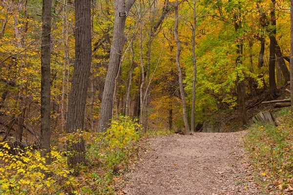 Mooie kleurrijke parken in Illinois platteland in de herfst — Stockfoto