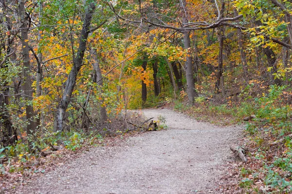 Mooie kleurrijke parken in Illinois platteland in de herfst — Stockfoto