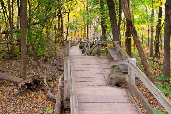 Houten trap in een herfst park in Illinois — Stockfoto