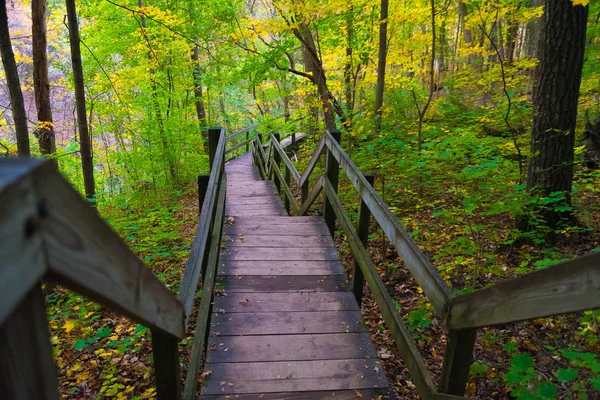 Wooden steps in an autumn park in Illinois — Stock Photo, Image