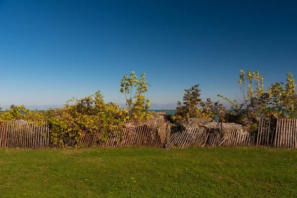 Valla de madera con arbustos verdes cerca del lago —  Fotos de Stock