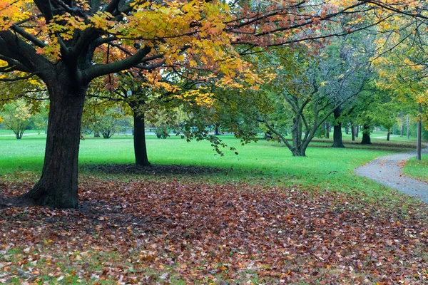 Fietsroute in de herfst park in November — Stockfoto