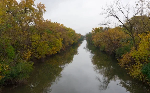 Coloridos árboles a orillas del río en Chicago — Foto de Stock