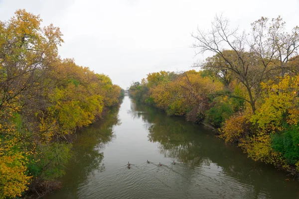 Coloridos árboles a orillas del río en Chicago — Foto de Stock