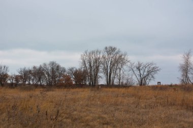 Illinois parkında michigan gölünde tarla