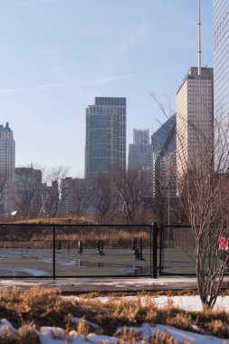 Chicago şehir binaları görünümünden Navy Pier