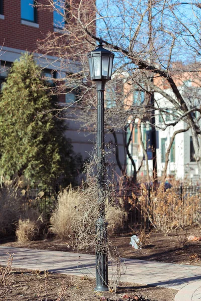 Big Street Lamp Chicago Street — Stock Photo, Image