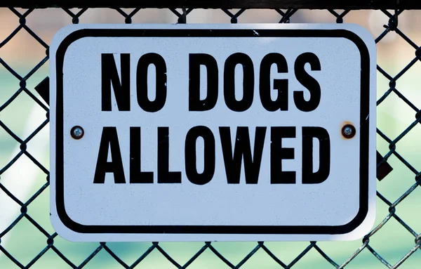 没有狗允许在金属栅栏上有白色标志 — 图库照片