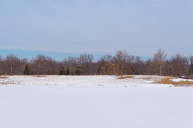 Karların altındaki parkta büyük ağaçlar
