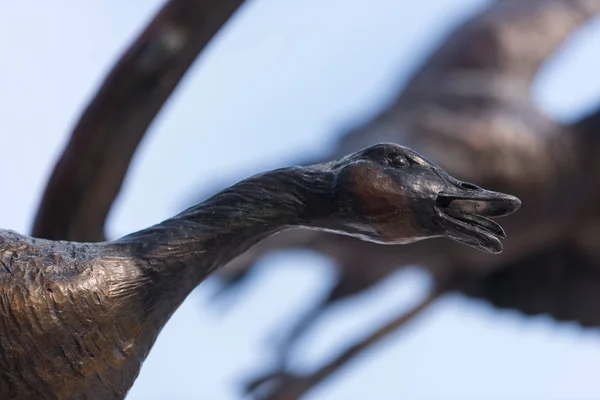 空飛ぶガチョウ 公園内の銅像 — ストック写真