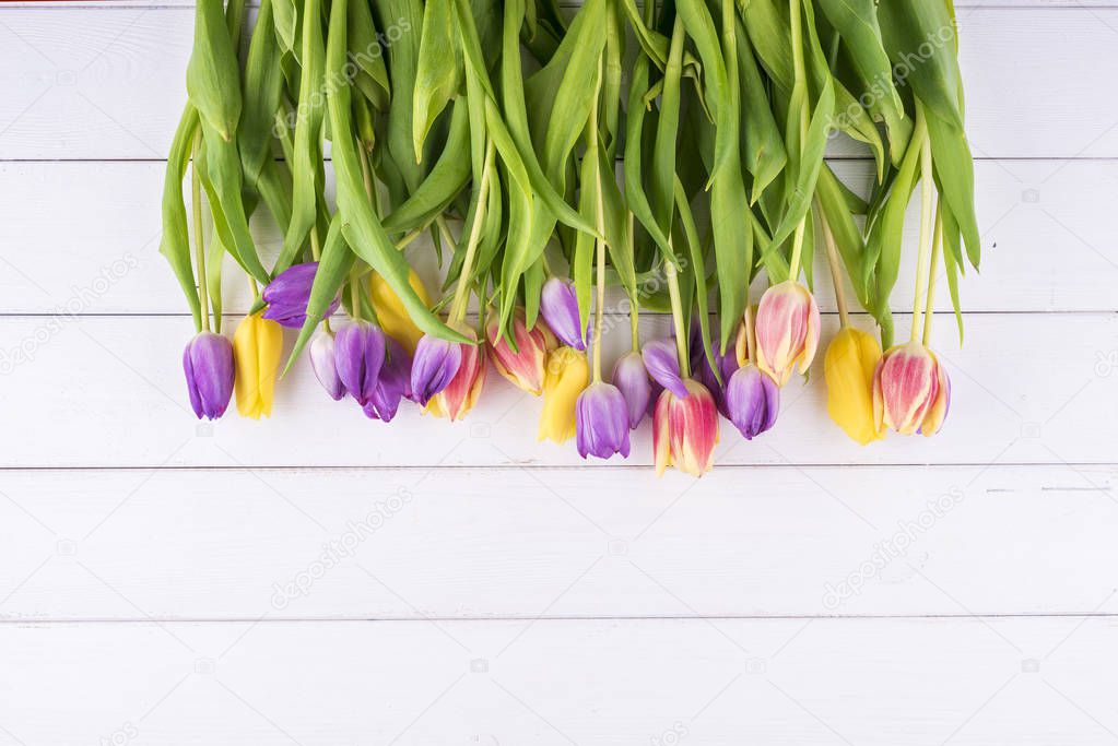 Colorful tulips on a wooden table. Top view with copy space