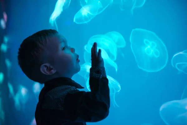 小さな男の子、クラゲを見て子供たちは屋内水族館で泳ぐ。動物園水族館の子供. — ストック写真