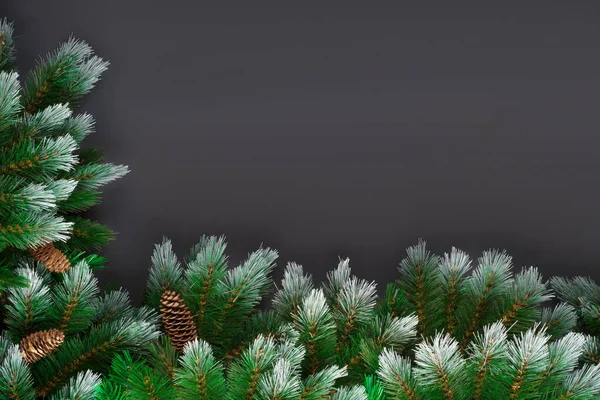 Natale o Capodanno decorazione sfondo: rami di albero di pelliccia, pigna su sfondo grunge nero con spazio copia — Foto Stock