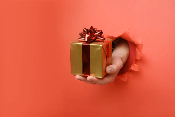 Main donner boîte-cadeau en or avec ruban rouge sur le mur de papier rouge déchiré. Espace de copie réservé à votre publicité et à votre contenu d'offre ou de vente . — Photo