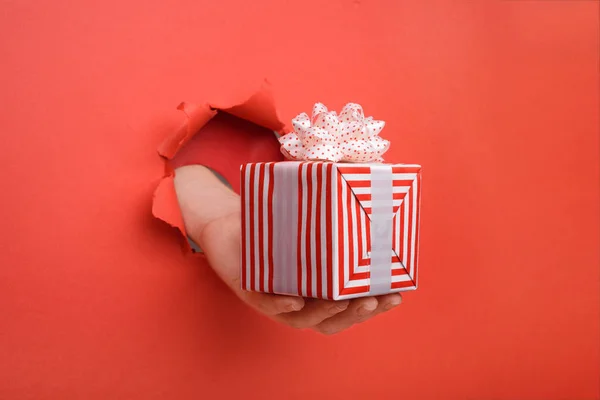 Ruka dát červené a bílé pruhované dárkové krabice na roztržené červené papírové zdi. Kopírovat prostor pro vaši reklamu a nabízet nebo prodávat obsah. — Stock fotografie