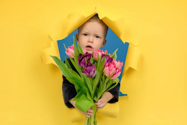 Beautiful boy holds large bouquet of tulip flowers congratulates on yellow torn background with torn edges of paper. contcept holiday of spring, Mothers Day, Valentines Day, Fathers Day — Stock Photo, Image