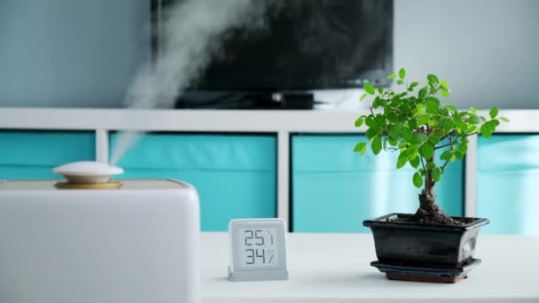 Valkoinen ilmankostutin toimii kosteuttava ja aromi, höyryävän veden huoneessa bonsai huonekasvi. mobiili sääasema osoittaa kosteuden tason ja lämpötilan lastenhuoneessa. Dolly liukuva video. — kuvapankkivideo