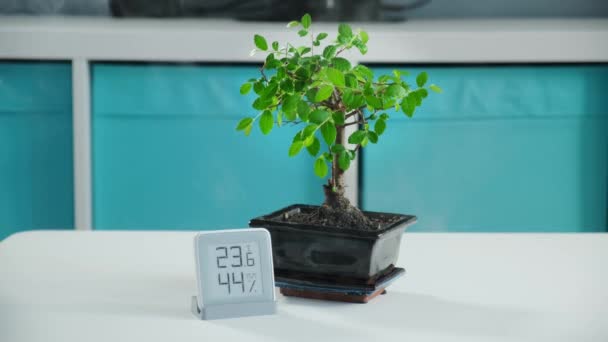 Bílý zvlhčovač pracuje zvlhčování a ochucování, kouřící vody v místnosti s bonsai pokojovou rostlinou. mobilní meteorologická stanice indikuje vlhkost a teplotu v dětském pokoji. Dolly posuvné video. — Stock video
