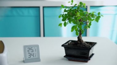 Su buharı ve iyonizasyonu olan beyaz iklim cihazı oturma odasının arka planında yeşil bitki olan bir dairede çalışıyor. Nemlendirir ve mikro flora oluşturur. Kamera çerçevede kayıyor