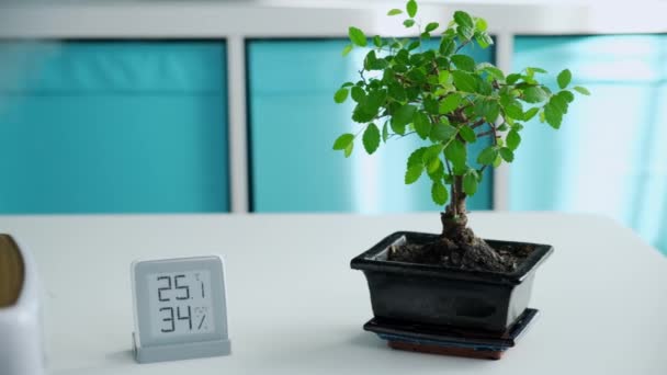 Witte klimaat apparaat met waterdamp en ionisatie werkt in een appartement met groene plant op de achtergrond van de woonkamer. Hydrateert en creëert microflora. Camera glijden in frame — Stockvideo