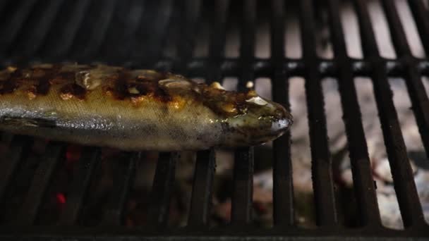 Fertige heiße Fisch-Regenbogenforelle auf Grill mit goldener Kruste liegt auf Grill. Dolly-Schiebe-Video — Stockvideo