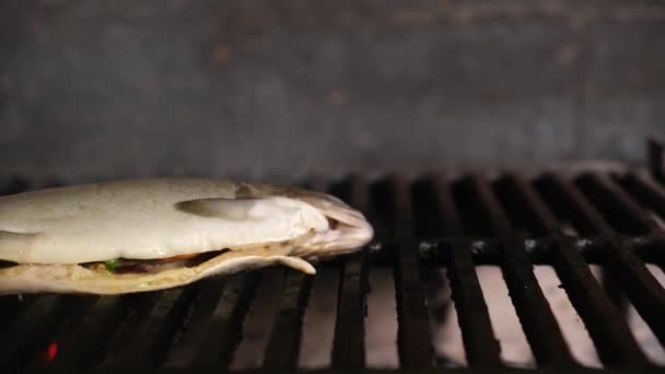 Rauwe gestripte vis hele regenboog forel gevuld met citroen wordt gekookt op hete steenkool grill. Dolly glijdende videocamera beweegt — Stockvideo