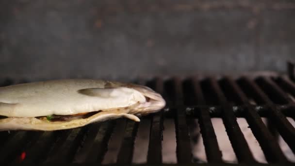 Raw gutted fish whole rainbow trout stuffed with lemon is cooked on hot coal grill. Dolly sliding video camera moves — Stock Footage Raw gutted fish whole rainbow trout stuffed with lemon is cooked on hot coal grill. Dolly sliding video camera moves Royalty Free Stock Footage