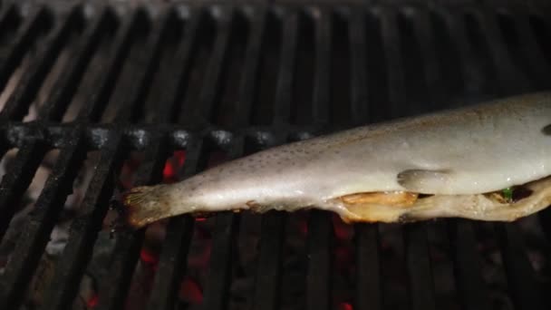 Chef si trasforma in arcobaleno pesce trota con una spatola di ferro, che viene cucinato sul barbecue. Il pesce è alla brace alla brace, cuoco prepara la griglia in cucina — Video Stock