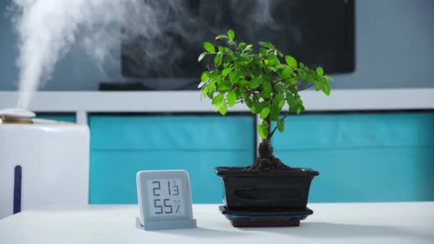 Zielona roślina bonsai jest zwilżona strumieniem wody lub wilgoci parowej w mieszkaniu na rozmytym tle mieszkania. Mobilna stacja pogodowa pokazuje poziom wilgotności i temperaturę powietrza. — Wideo stockowe