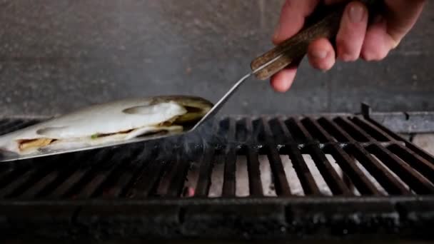 Chef mette intere trote di arcobaleno crudo pesce alla griglia di carbone barbecue utilizzando spatola. Il pesce è fritto su braci fiamme di fuoco e calore con fumo avvolge il pesce. Dolly video scorrevole — Video Stock