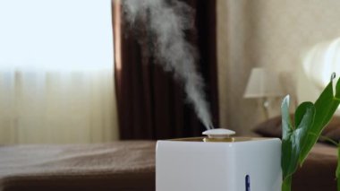 Aygıt nemlendirici, arka planda güneş ışığına karşı su buharı ile yatak odasının dairesini nemlendirir.