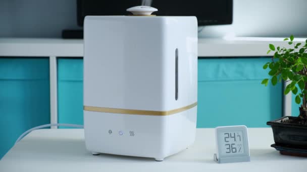 Meninas mão liga mini clima home station umidificação e sabor, água vapor no quarto com potted bonsai planta. Estação meteorológica móvel mostra nível de umidade e temperatura, na sala de estar. — Vídeo de Stock