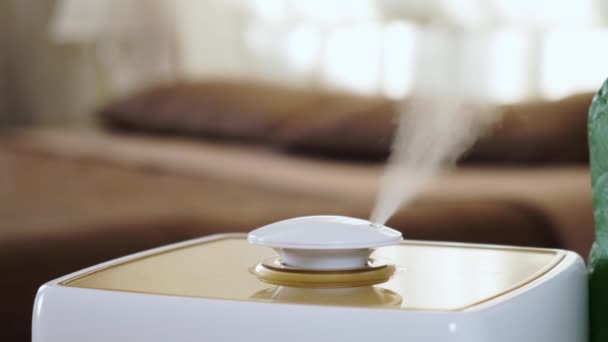 L'humidificateur humidifie une maison verte et un appartement sur fond de lit et de lumière du soleil venant de la fenêtre — Video