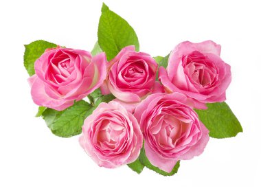 Rose flowers bunch isolated on white background clipart