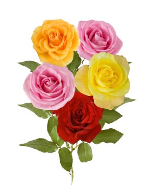 Gül çiçek demet izole üzerinde beyaz arka plan