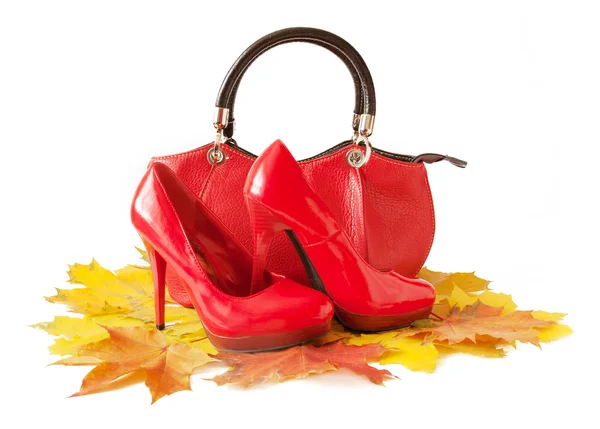 Lederen schoenen en laarzen met herfstbladeren. Schoenen en tassen collectie verkoop. Herfst verkoop — Stockfoto